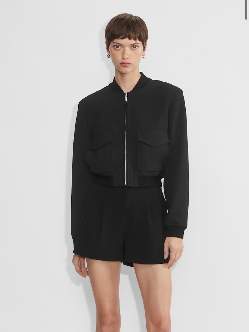 Aritzia Babaton Pleated Mini Short